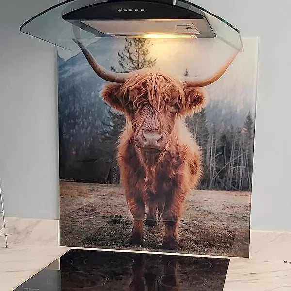 Why Glass Splashbacks Are the Future of Chic Kitchen Design