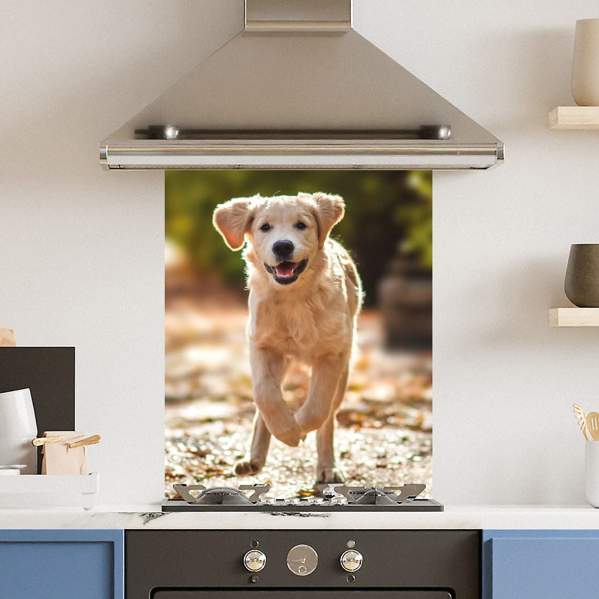 Running Dog — Toughened Glass Kitchen Splashback