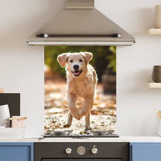 Running Dog — Toughened Glass Kitchen Splashback