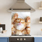 Premium Various Sizes Cat 6mm Glass Toughened Kitchen Splashback