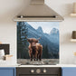 Regal Cow — Toughened Glass Kitchen Splashback