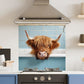 Bath Cow — Toughened Glass Kitchen Splashback